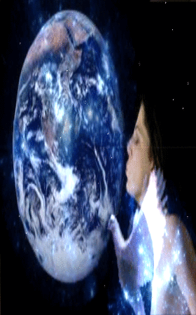 PLP_1.gif